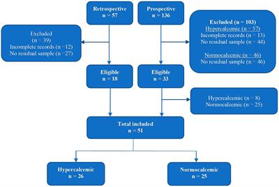 Exploring the relationship between calcitonin, ionized calcium, and bone turnover in cats with and without naturally occurring hypercalcemia